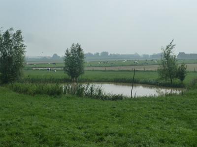 P1050968